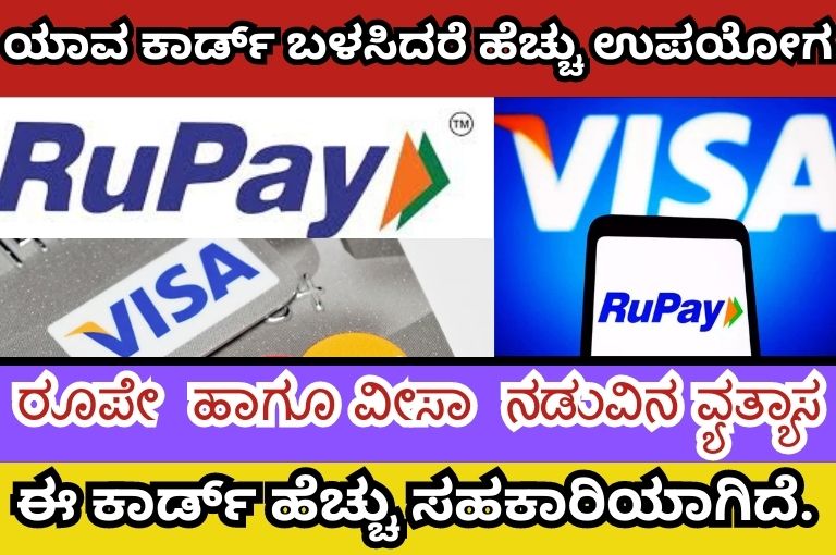 Rupay and Visa which card is more useful