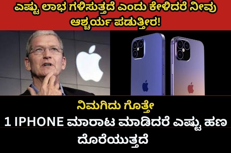 iPhone company make money per year