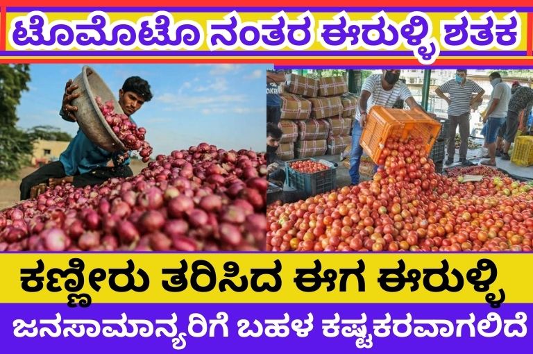 tomato-price-hike